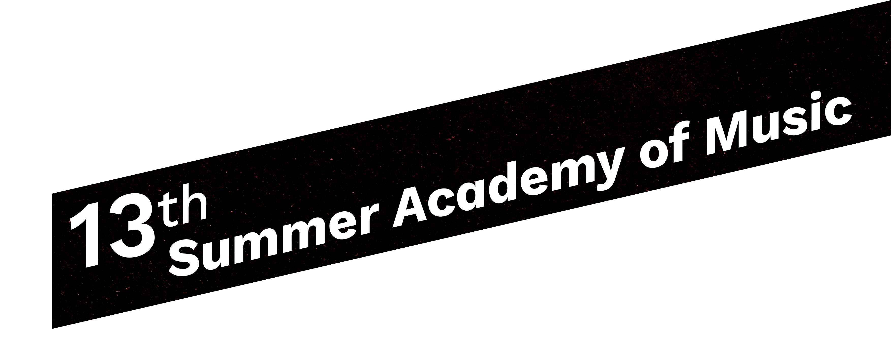 13th Summer Academy of Music