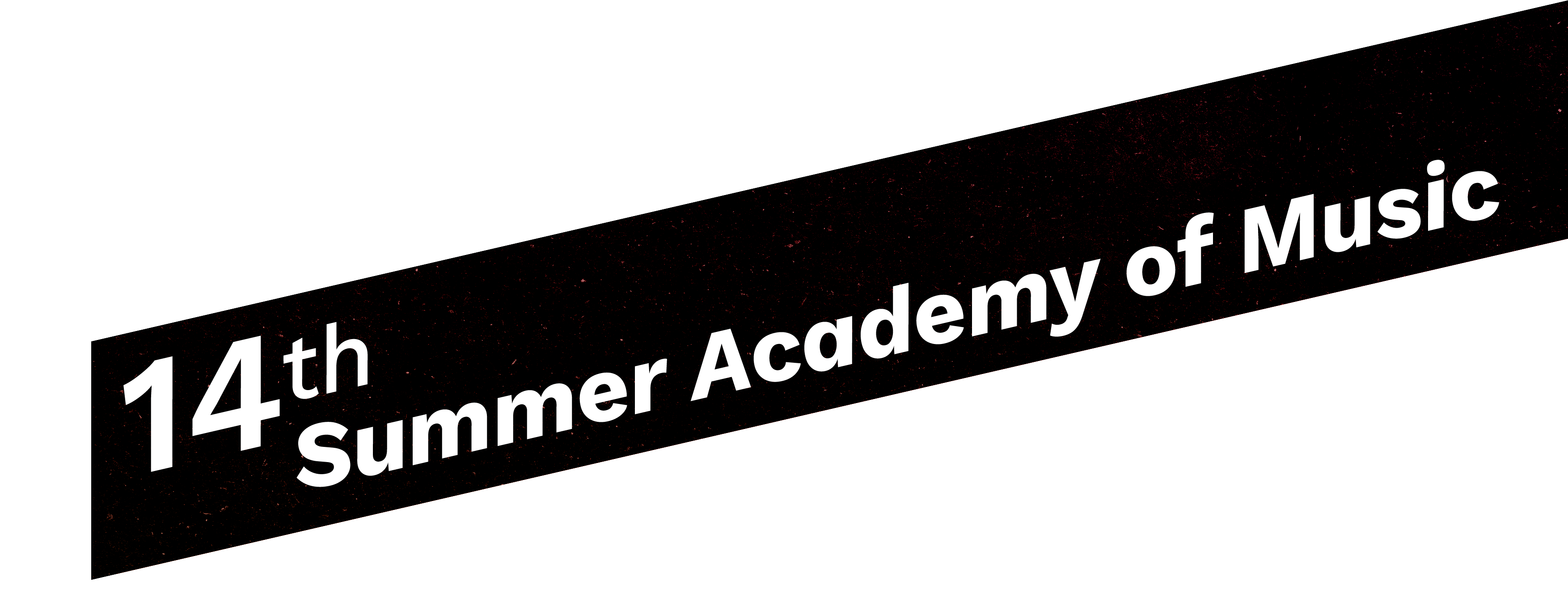14th Summer Academy of Music