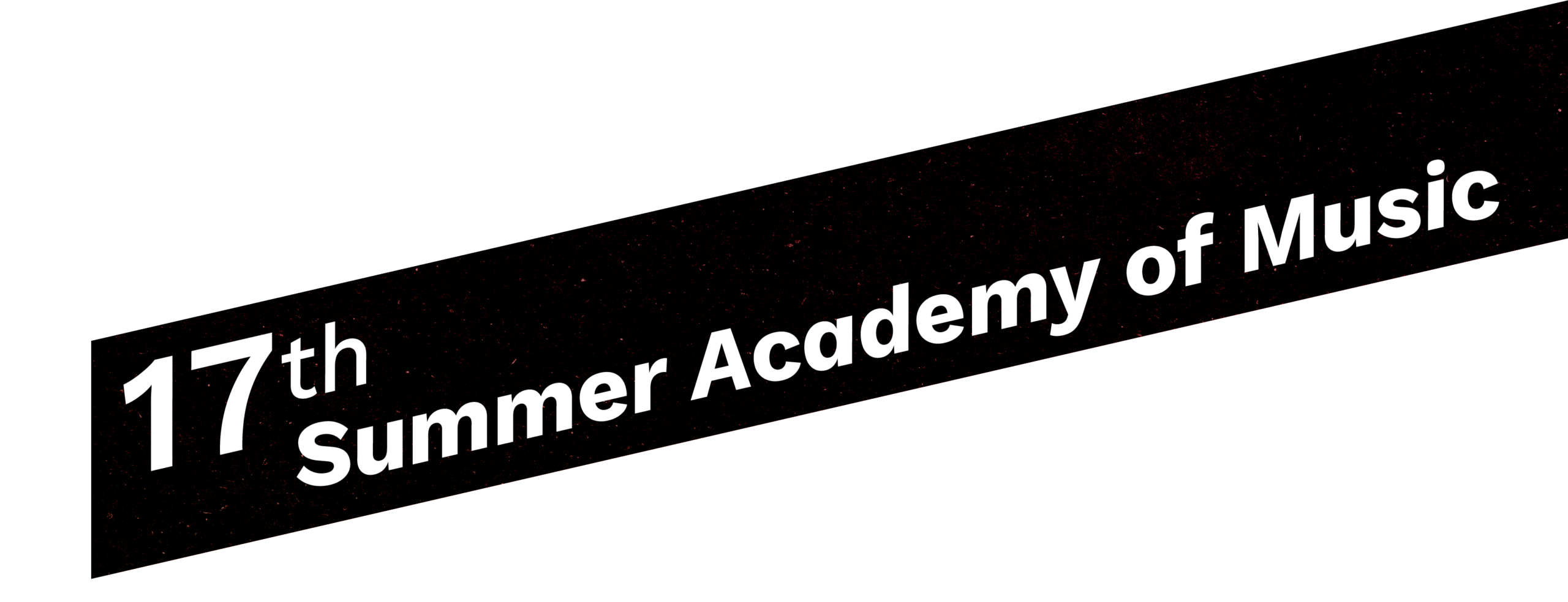 17th Summer Academy of Music